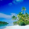 Шри Ланка —190$ за 7 дней-SOLNZE tour-Шри Ланка—  Экзотика, отдых на океане