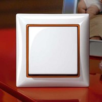 Немецкие розетки и выключатели ABB Basic 55 классический стиль в интерьере.