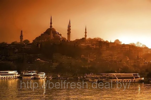 Заказать Термонаклейки На Футболки